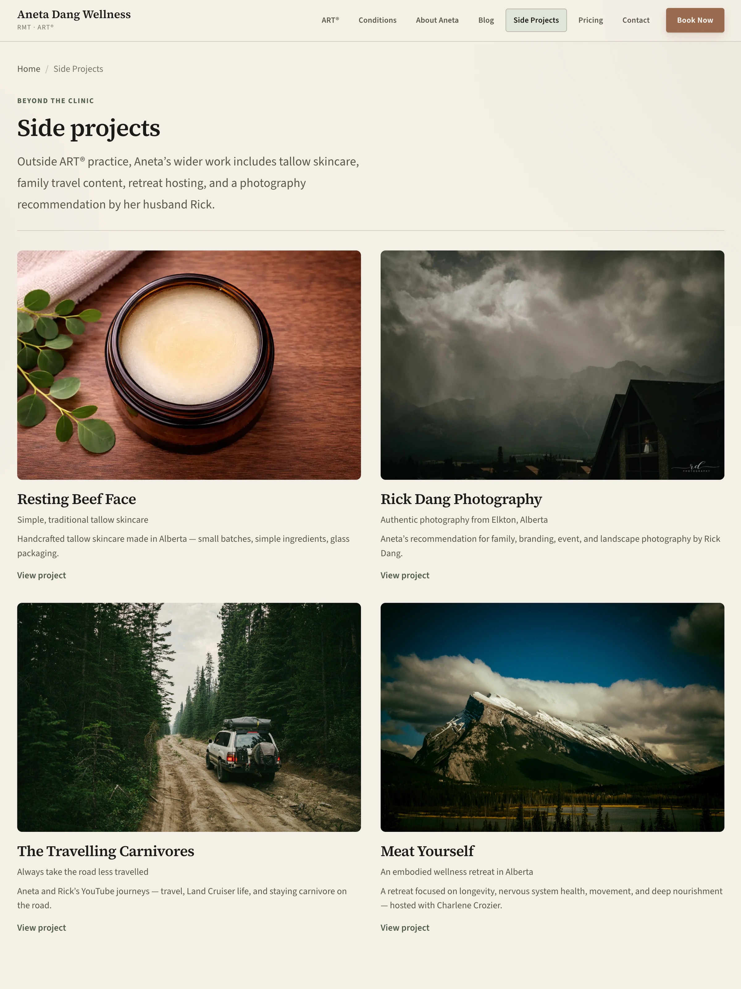 Aneta Dang Wellness side projects page showing additional content destinations beyond core treatment pages.